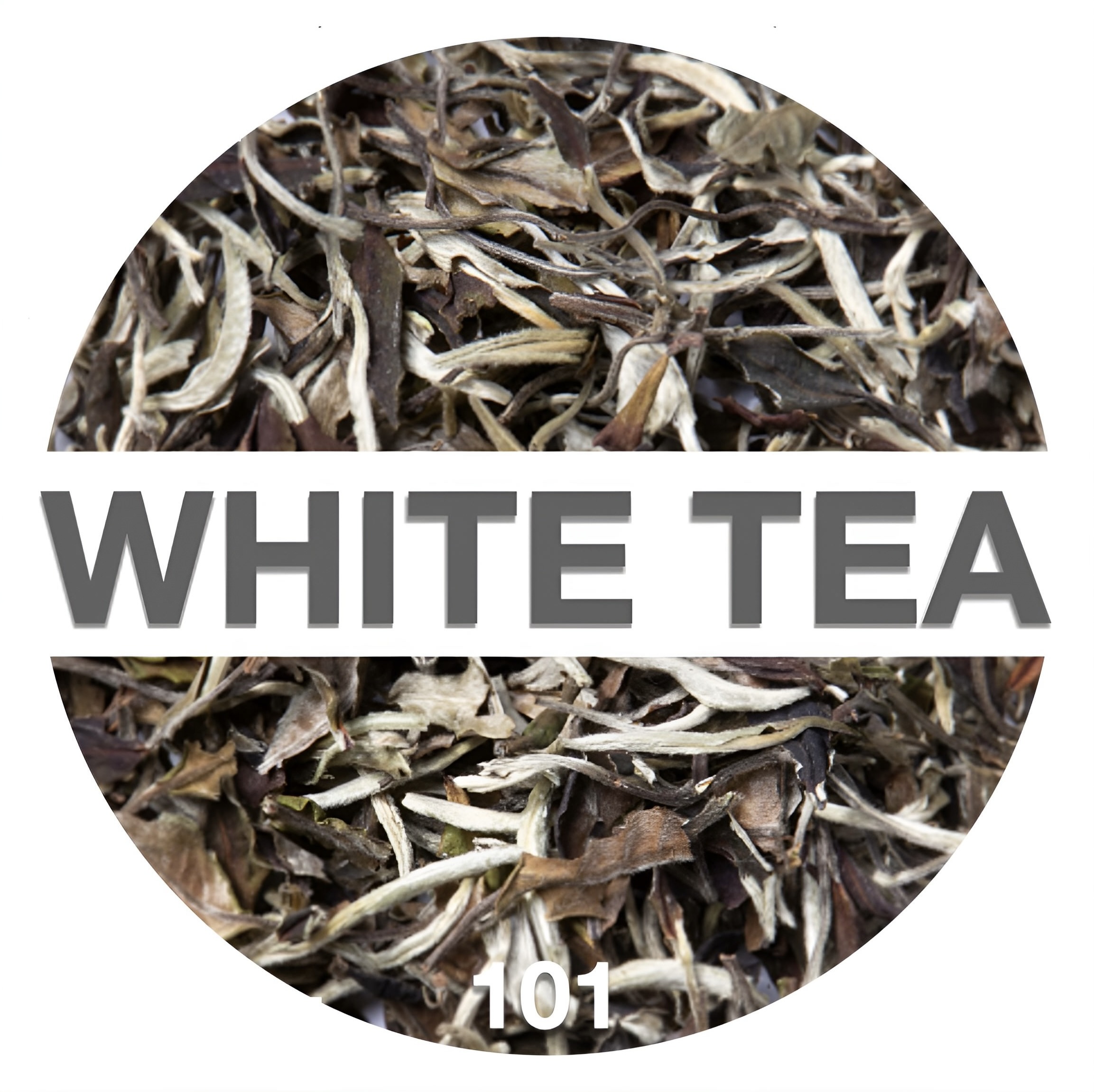 a guide to white tea