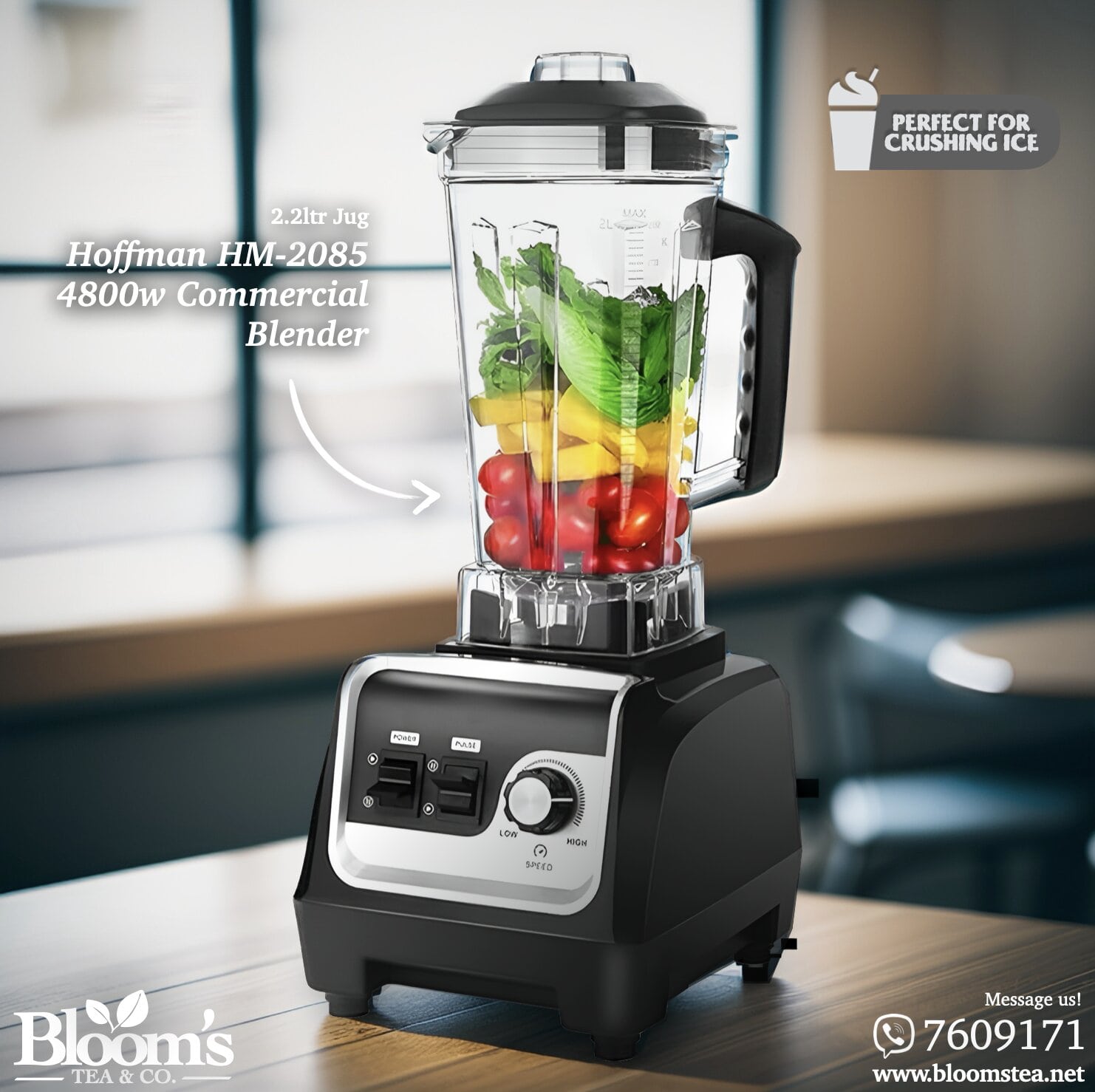 Hoffmans Electronics commercial hm-2085 blender 2.2 litre jug