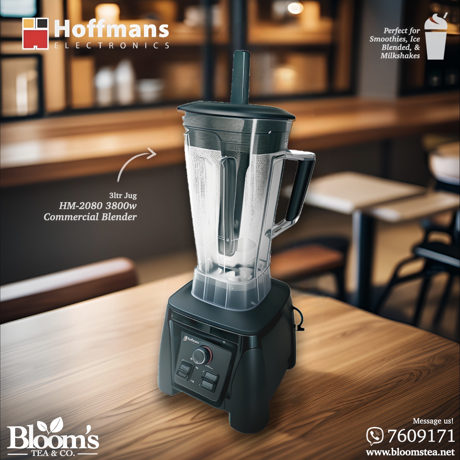 Hoffmans Electronics hm-2080 commercial blender